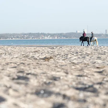 דירה Wohnpark Am Muehlenteich - 35 *